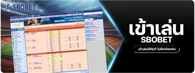 บาคาร่า (105)