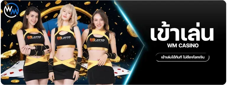 บาคาร่า (113)